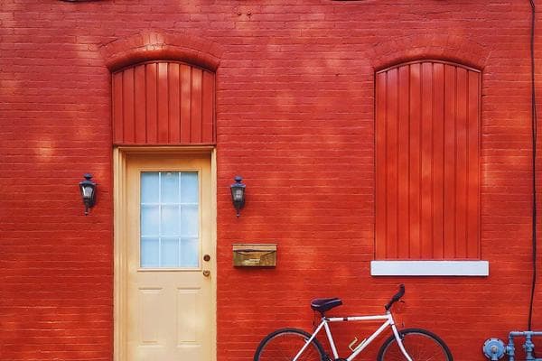 Avocado Pasta - recipe photo